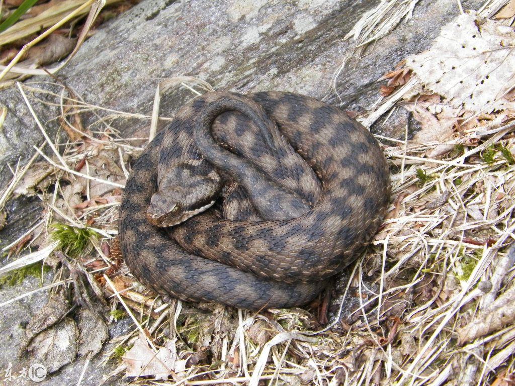 东北明珠吉林，无限魅力之地