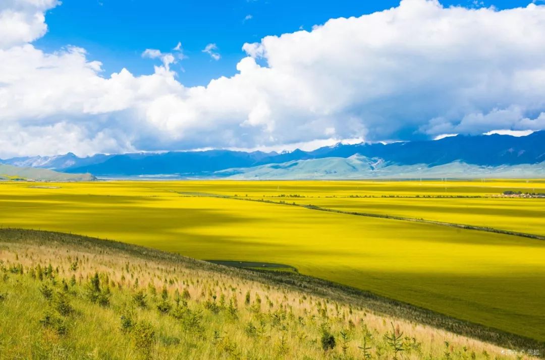 青海，美丽的瑰宝，亲爱的听众朋友们